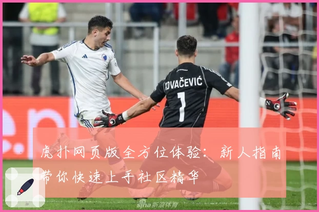 虎扑网页版全方位体验：新人指南带你快速上手社区精华