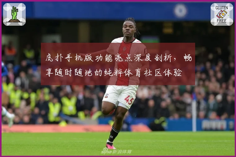 虎扑手机版功能亮点深度剖析，畅享随时随地的纯粹体育社区体验