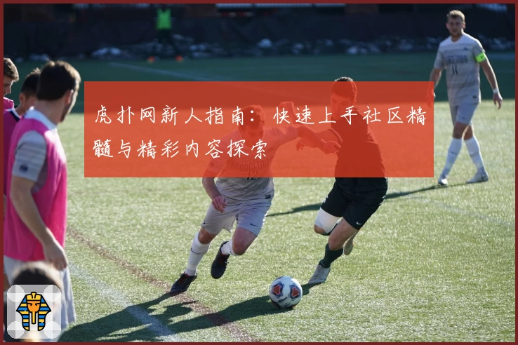 虎扑网新人指南:快速上手社区精髓与精彩内容探索