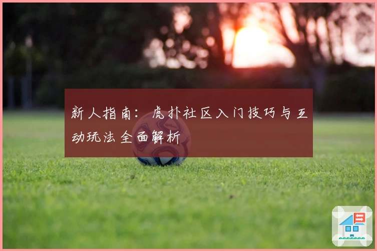 新人指南：虎扑社区入门技巧与互动玩法全面解析